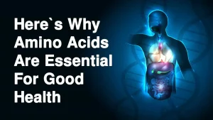 DoctorHub360.com Amino Acids |  A Comprehensive Guide